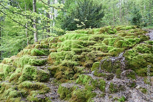 Hoher Brunnen