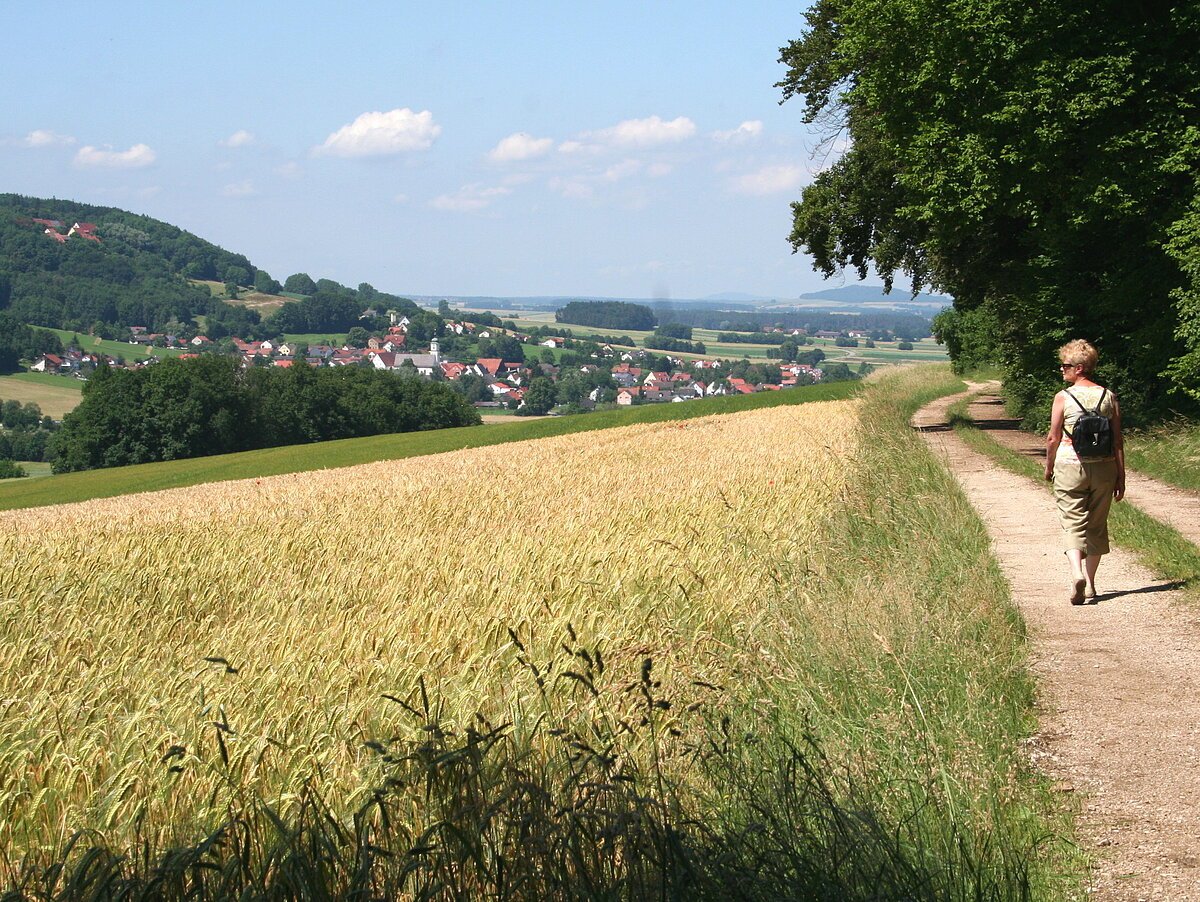 Wanderweg Nr. 8 - Hangweg zw. Untermässing und Obermässing