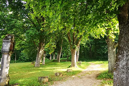 Wallfahrerweg bei Dietfurt