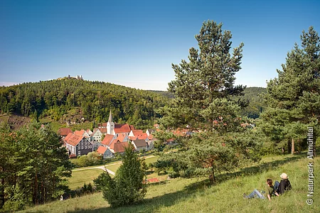 Blick vom Jurasteig auf Hohenburg