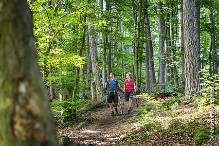 Wandern bei Kipfenberg