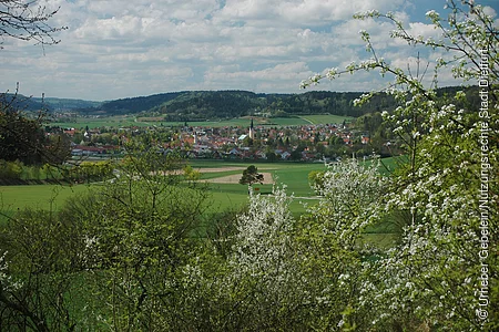 Sommerleite - Blick auf Dietfurt