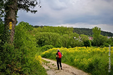 Wallfahrerweg bei Greding