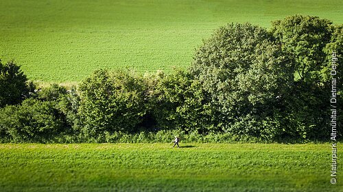 Wanderer auf dem Limes-Wanderweg