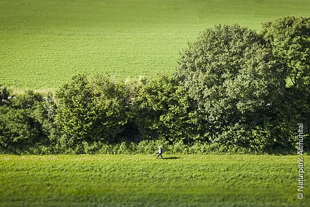 Limes-Wanderweg