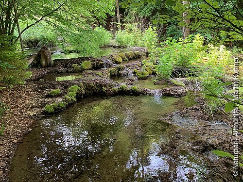 Sinterterrassen im Kaisinger Tal