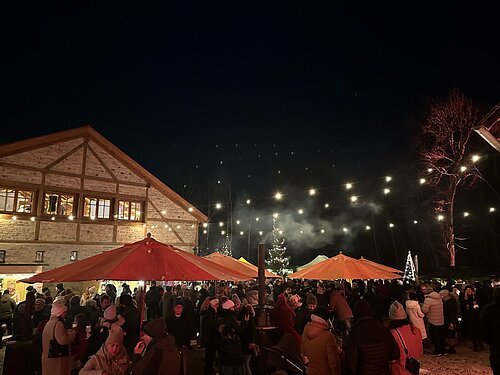 Wein-Nachtsmarkt Bleimer Schloss