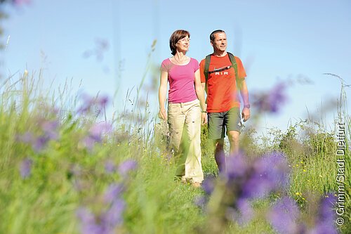 Wandern rund um Dietfurt